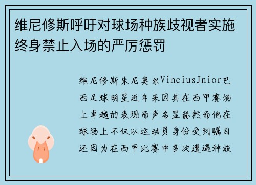 维尼修斯呼吁对球场种族歧视者实施终身禁止入场的严厉惩罚 维尼修斯呼吁对球场种族歧视者实施终身禁止入场的严厉惩罚